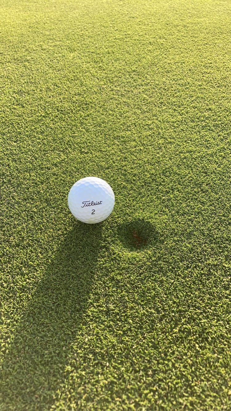 Ball landed and only moved an inch on impact. Logo sitting perfectly. Just put me in the commercials already! (Yes I repaired the ball mark)